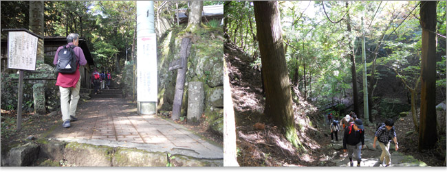 伊勢原大山の女坂を行く