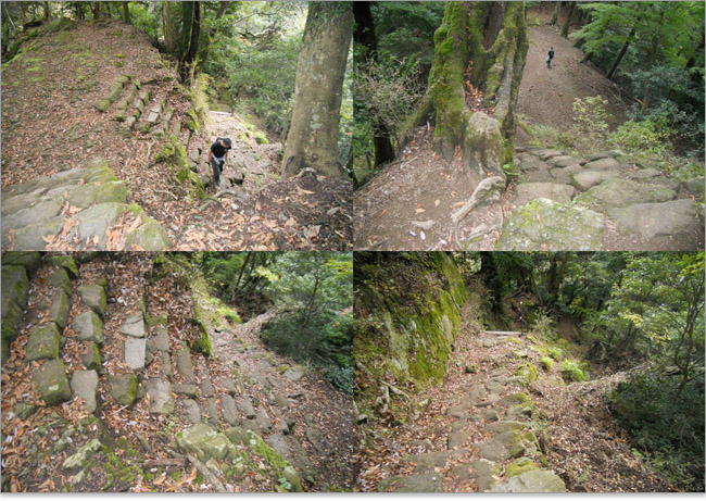 大山の男坂を下ります