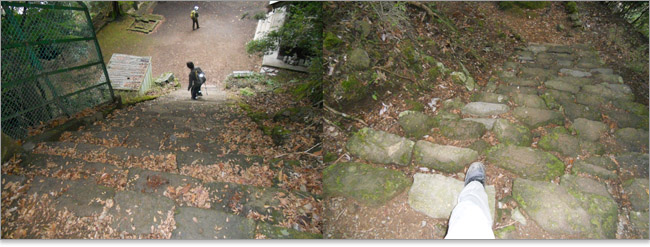 伊勢原 大山登山レポート