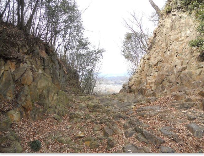 こは金山城ベストビュー