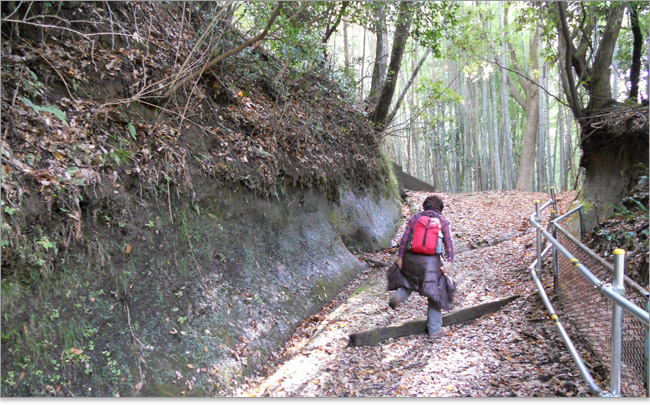 久留里城の築城当時、雨が降り続けたことから別名：雨城