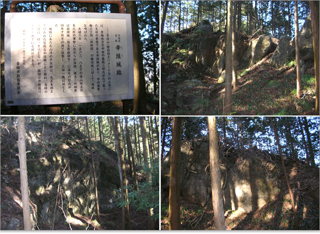 辛垣城ハイキング