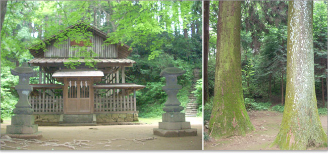 八王子城の八王子神社