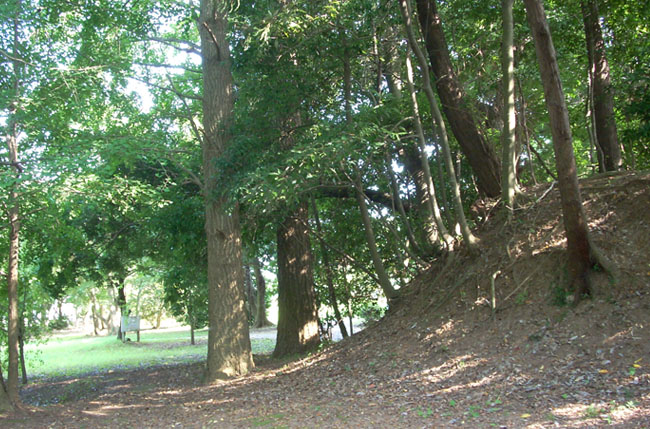 臼井城址公園入口