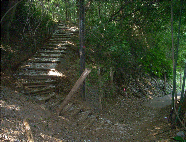 田久里砦、仲台砦、洲崎砦