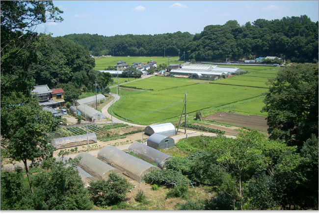 城山からの眺め