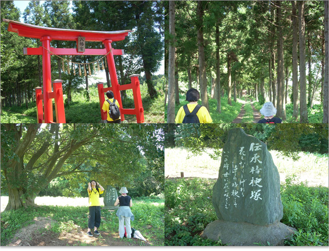 本佐倉城の出城である向根古屋城