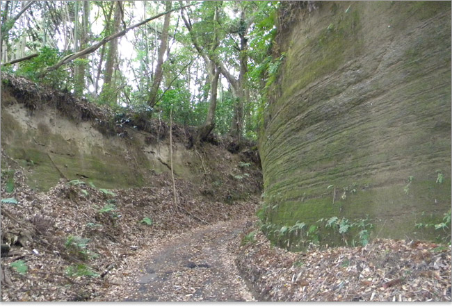 クラン坂-土気城ハイキング