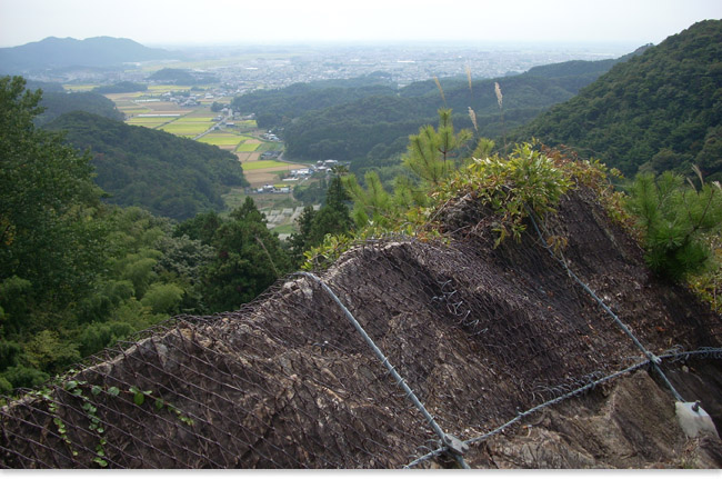 天候条件によっては、新宿のビル群が見える