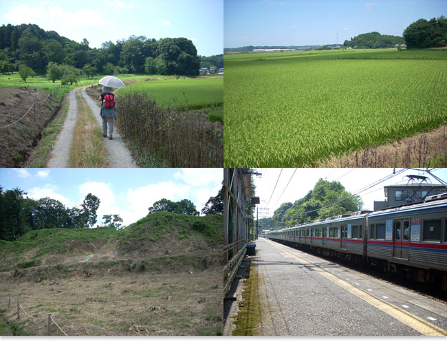 稲刈りの前のハイキング