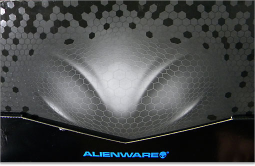 これだけ見ると蜂っぽいエイリアンですね。