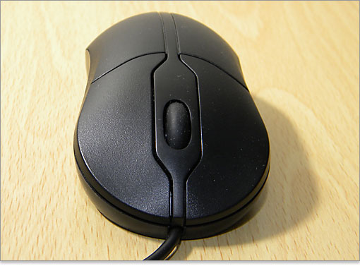 マウスの前面の様子。