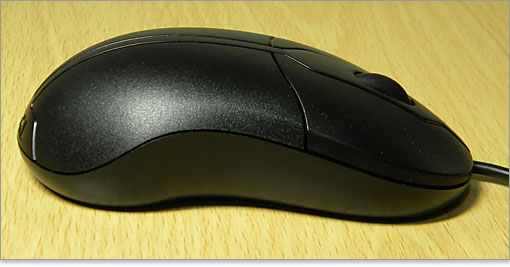 右側面の様子。左右対称