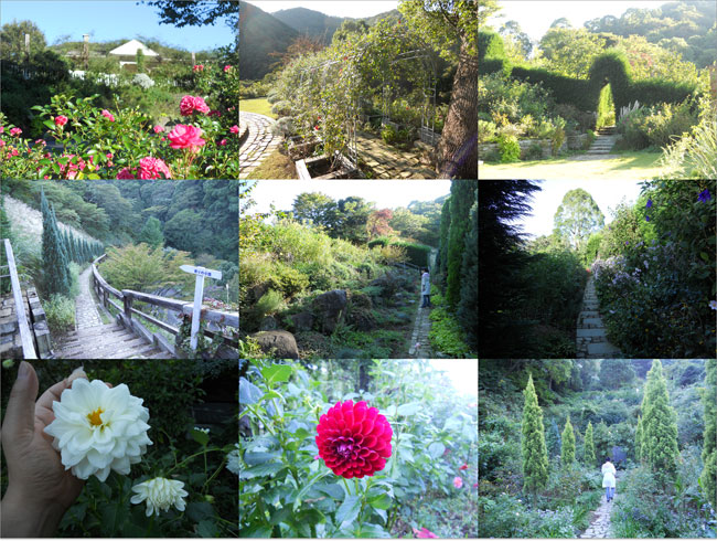 熱海のローズガーデン