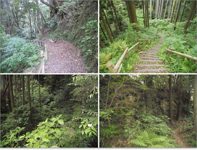 小鳥の森-万木城跡