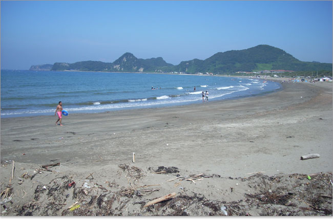 岩井海岸の全貌