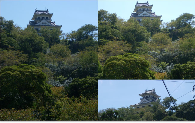 館山城がある城山公園