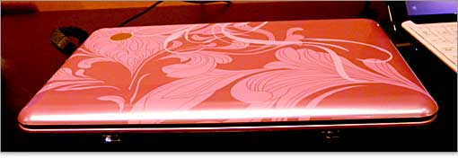 淡紅藤 (うすべにふじ)