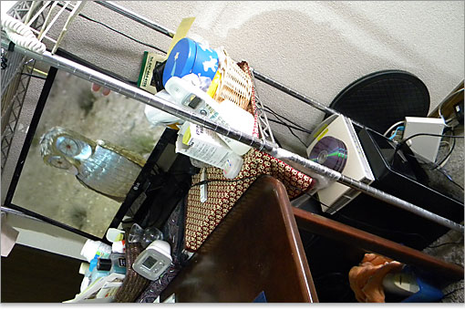 ここでブルーレイ映画を鑑賞