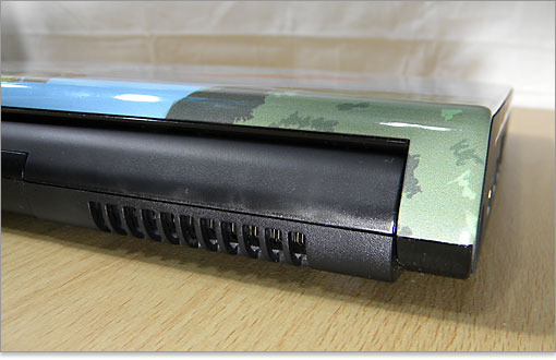 フィンが垣間見えます