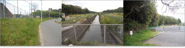 浜田川とゴルフ城と実籾城