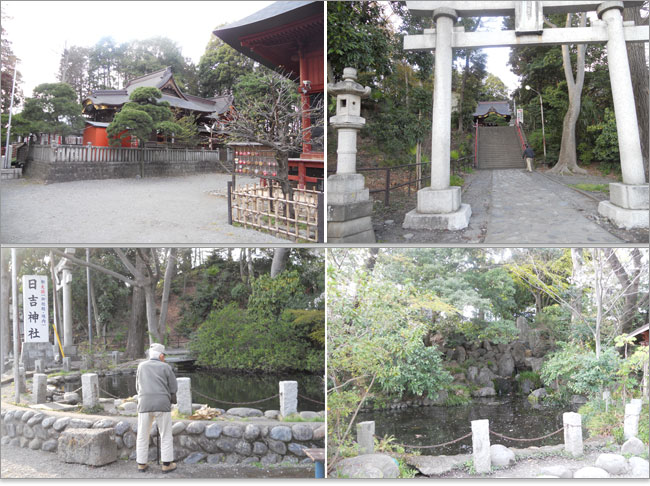 山王大権現の称号