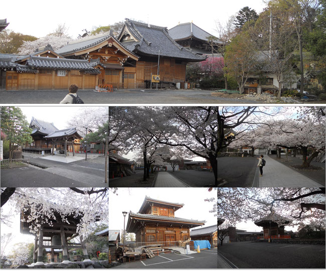 武田信玄は大日堂に陣を置いた