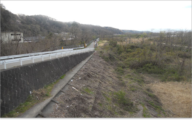 多摩川に架かる拝島橋