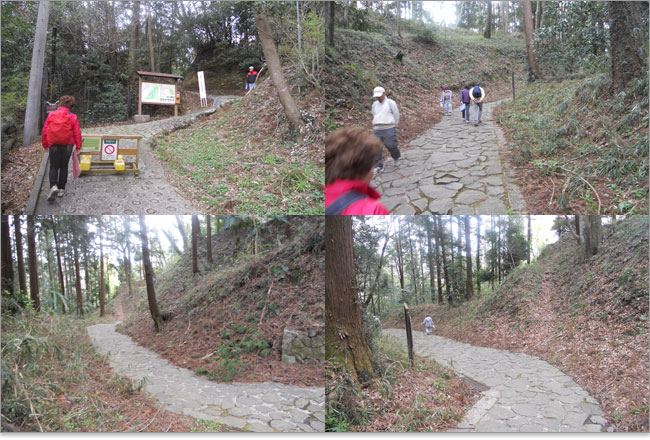 滝山自然公園石畳