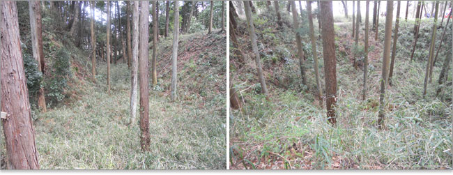 滝山城は入り組んだ形