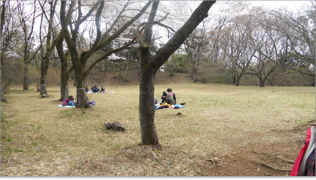 滝山城の大馬出し