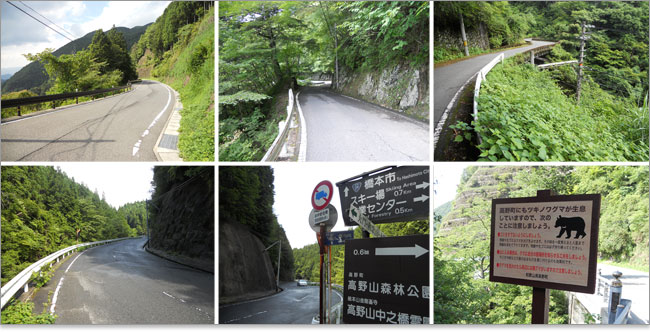 高野町にもツキノワグマが生息