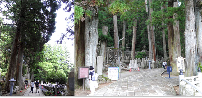 杉並木の奥の院