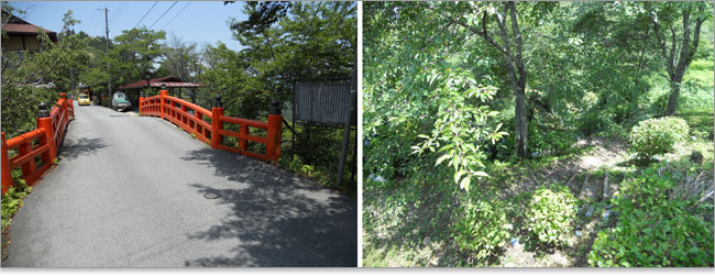 吉野山-大橋に到着